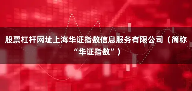 股票杠杆网址上海华证指数信息服务有限公司（简称“华证指数”）