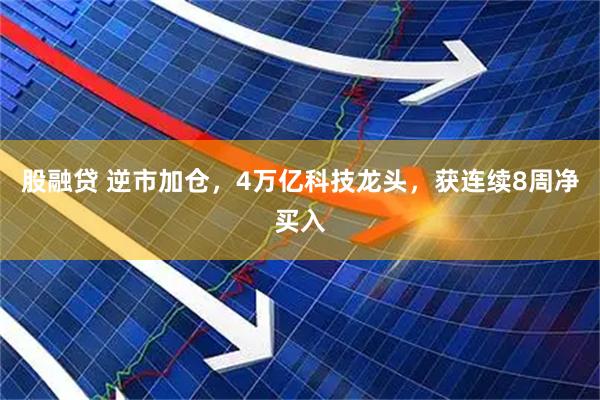 股融贷 逆市加仓，4万亿科技龙头，获连续8周净买入