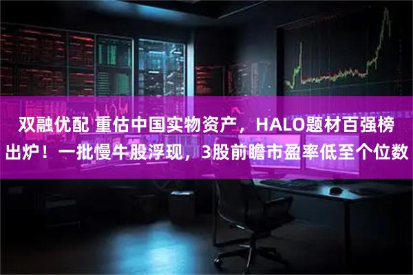双融优配 重估中国实物资产，HALO题材百强榜出炉！一批慢牛股浮现，3股前瞻市盈率低至个位数